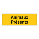 Animaux Présents