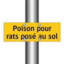 Poison pour rats posé au sol