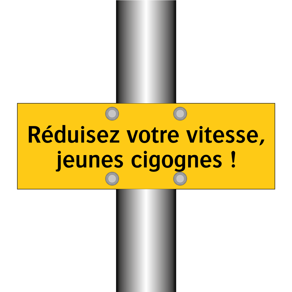 Réduisez votre vitesse, jeunes cigognes !