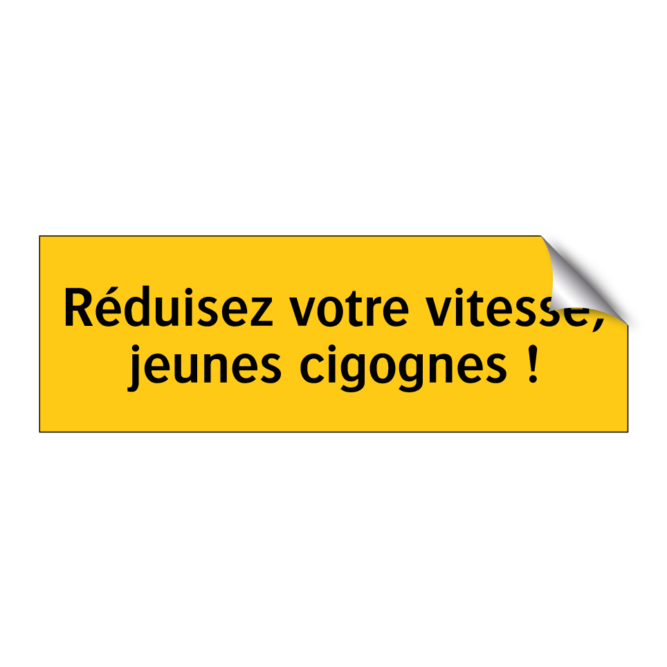 Réduisez votre vitesse, jeunes cigognes !