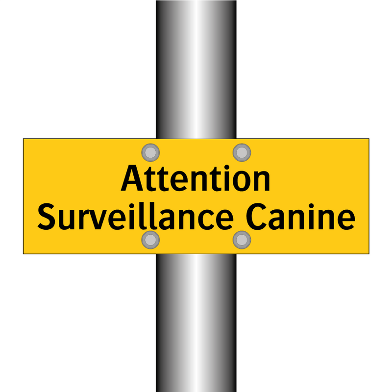 Attention Surveillance Canine