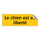 Le chien est en liberté