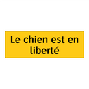 Le chien est en liberté