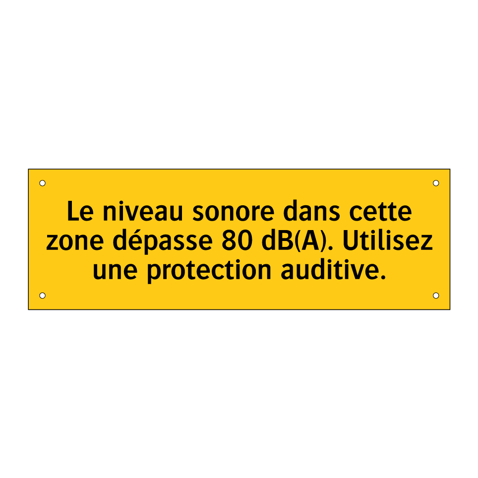 Le niveau sonore dans cette zone dépasse 80 dB(A). Utilisez une protection auditive