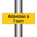 Attention à l'ours