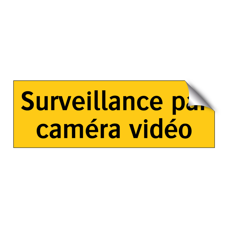 Surveillance par caméra vidéo