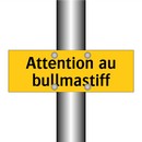 Attention au bullmastiff