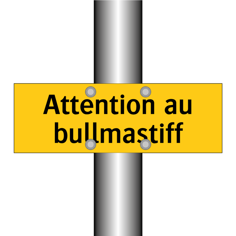Attention au bullmastiff