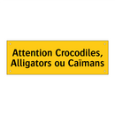 Attention Crocodiles, Alligators ou Caïmans