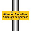 Attention Crocodiles, Alligators ou Caïmans