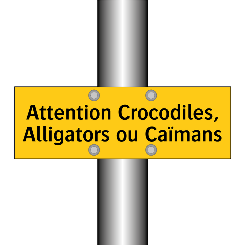 Attention Crocodiles, Alligators ou Caïmans