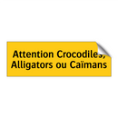Attention Crocodiles, Alligators ou Caïmans