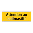 Attention au bullmastiff