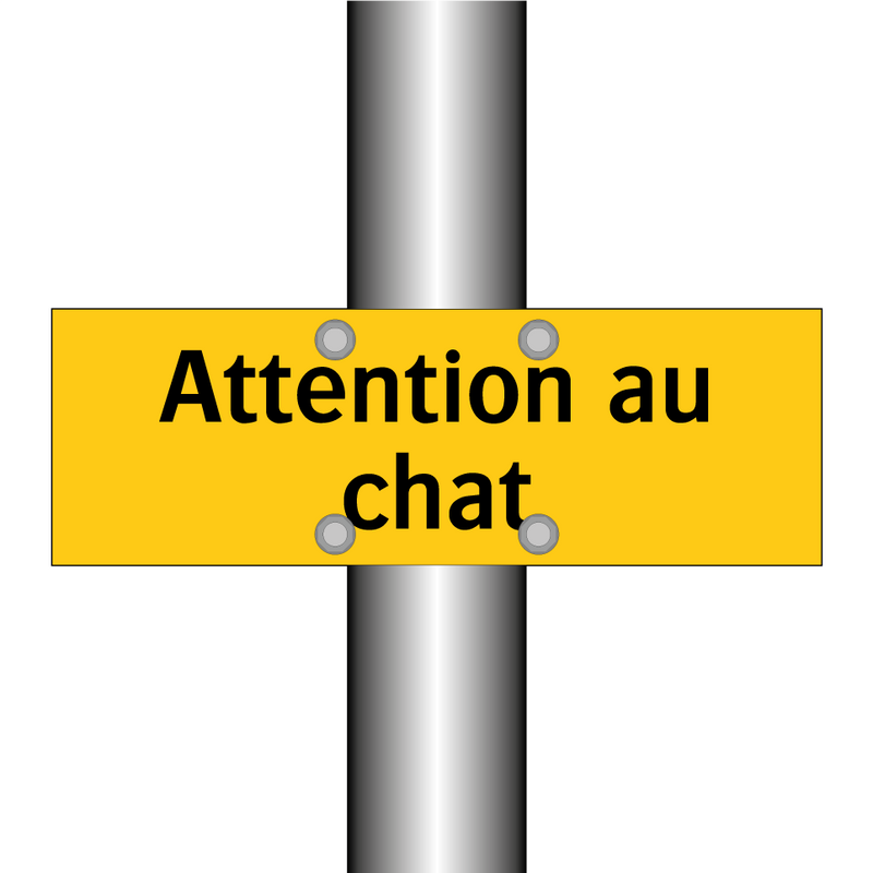 Attention au chat