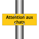 Attention aux chats