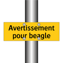 Avertissement pour beagle