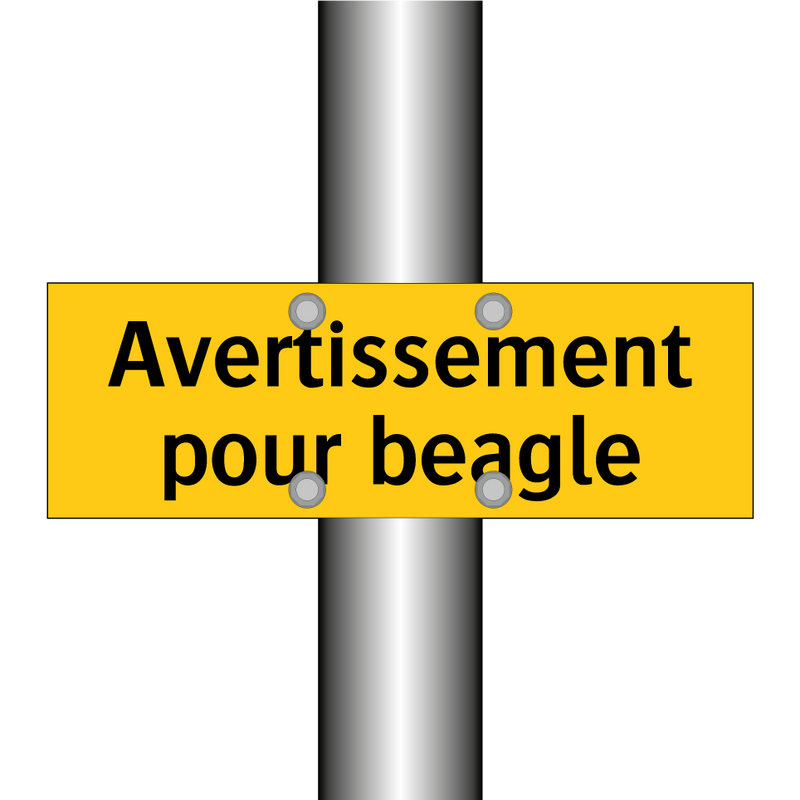 Avertissement pour beagle