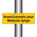 Avertissement pour Malinois belge