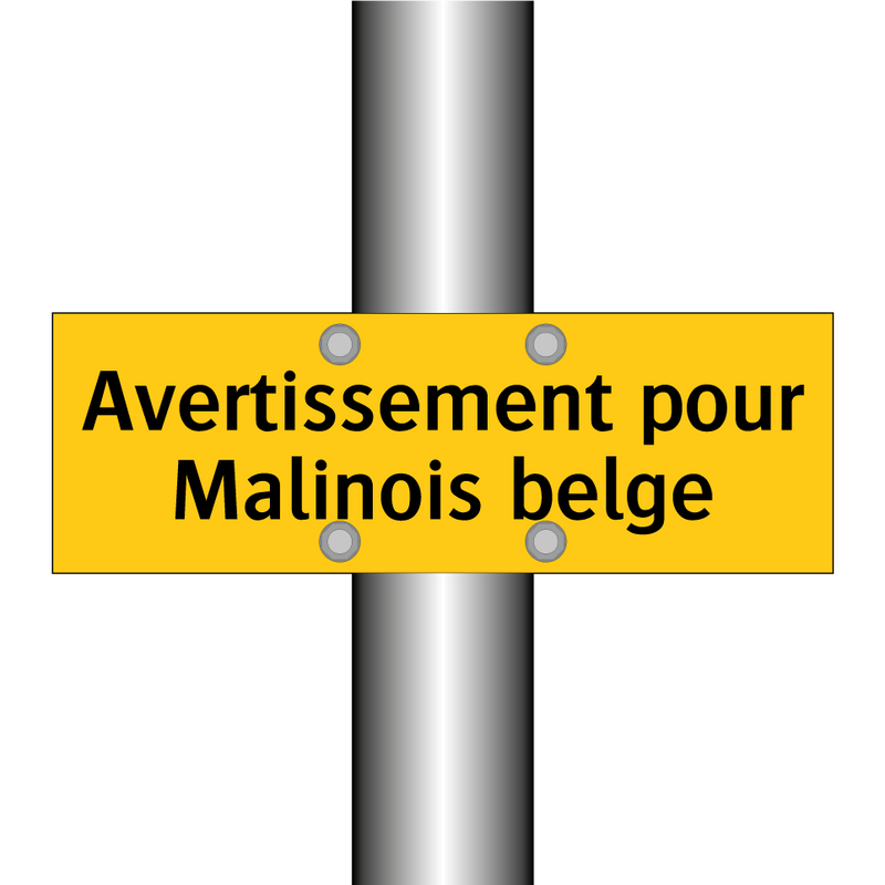 Avertissement pour Malinois belge