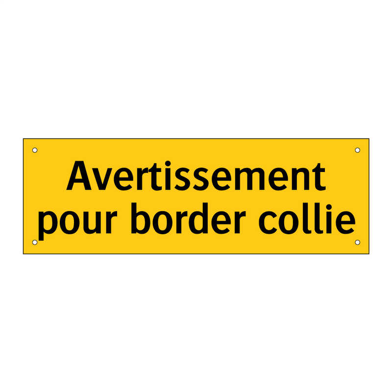 Avertissement pour border collie