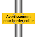 Avertissement pour border collie
