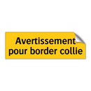 Avertissement pour border collie