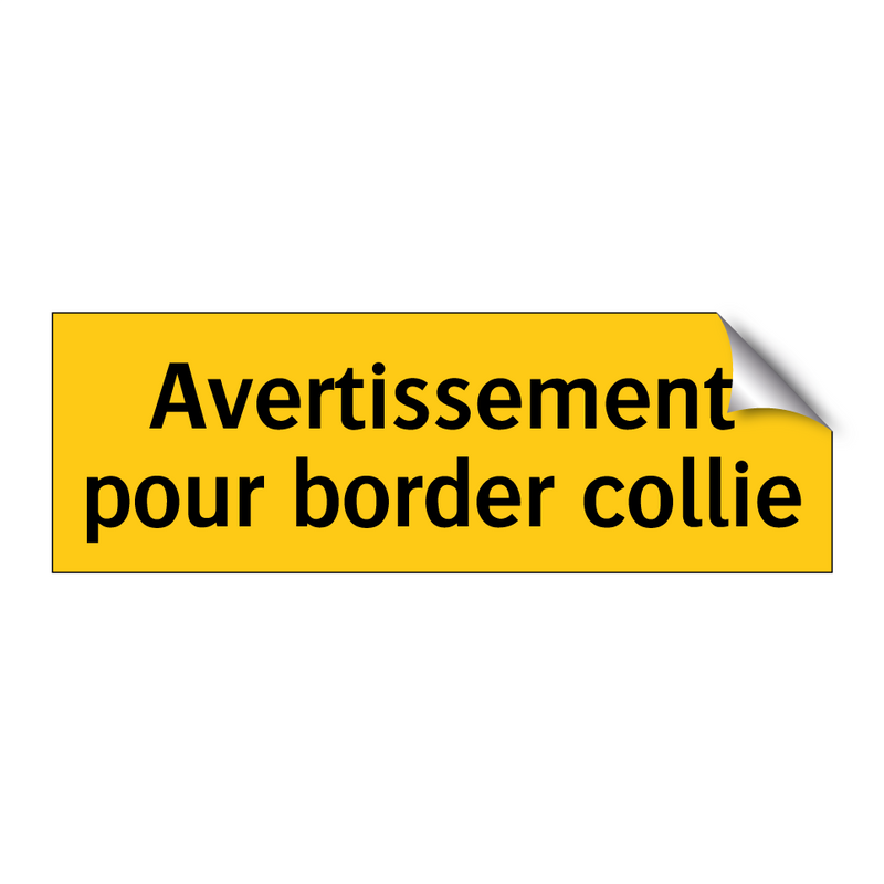 Avertissement pour border collie