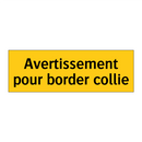 Avertissement pour border collie