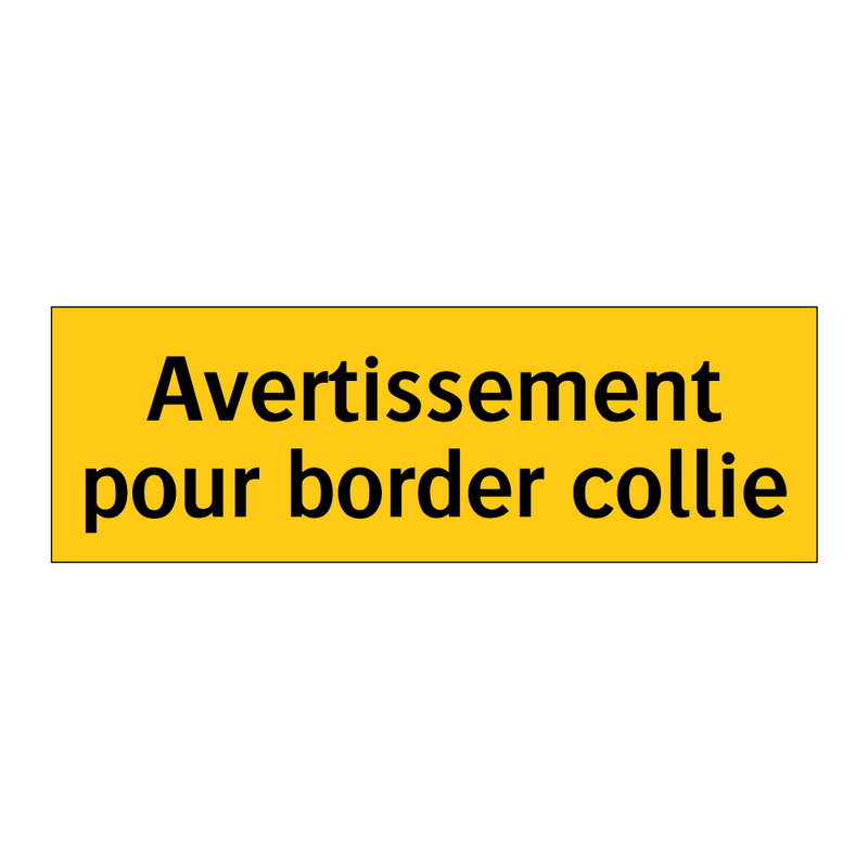 Avertissement pour border collie