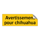 Avertissement pour chihuahua