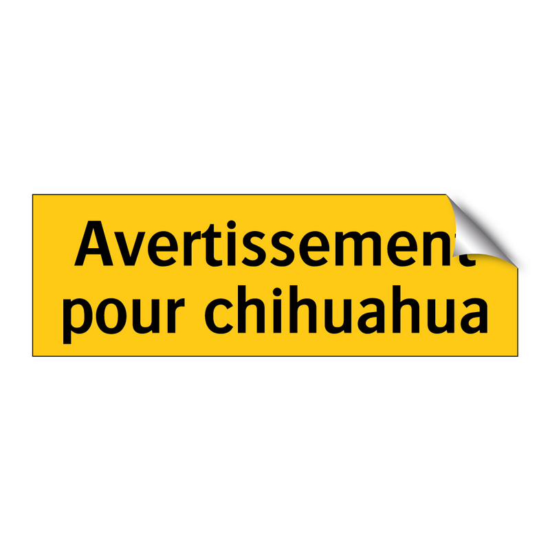 Avertissement pour chihuahua