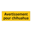 Avertissement pour chihuahua