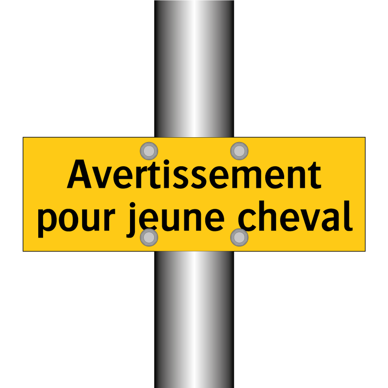 Avertissement pour jeune cheval