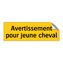 Avertissement pour jeune cheval