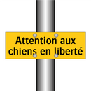 Attention aux chiens en liberté