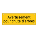 Avertissement pour chute d'arbres