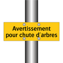 Avertissement pour chute d'arbres