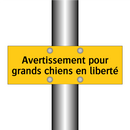 Avertissement pour grands chiens en liberté