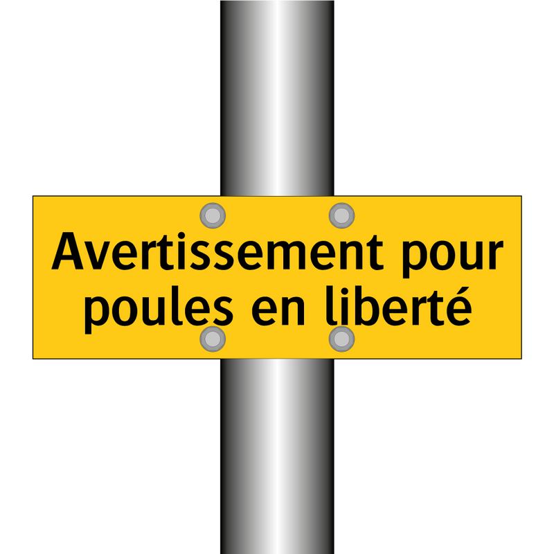 Avertissement pour poules en liberté