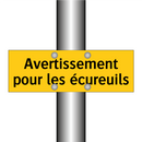 Avertissement pour les écureuils