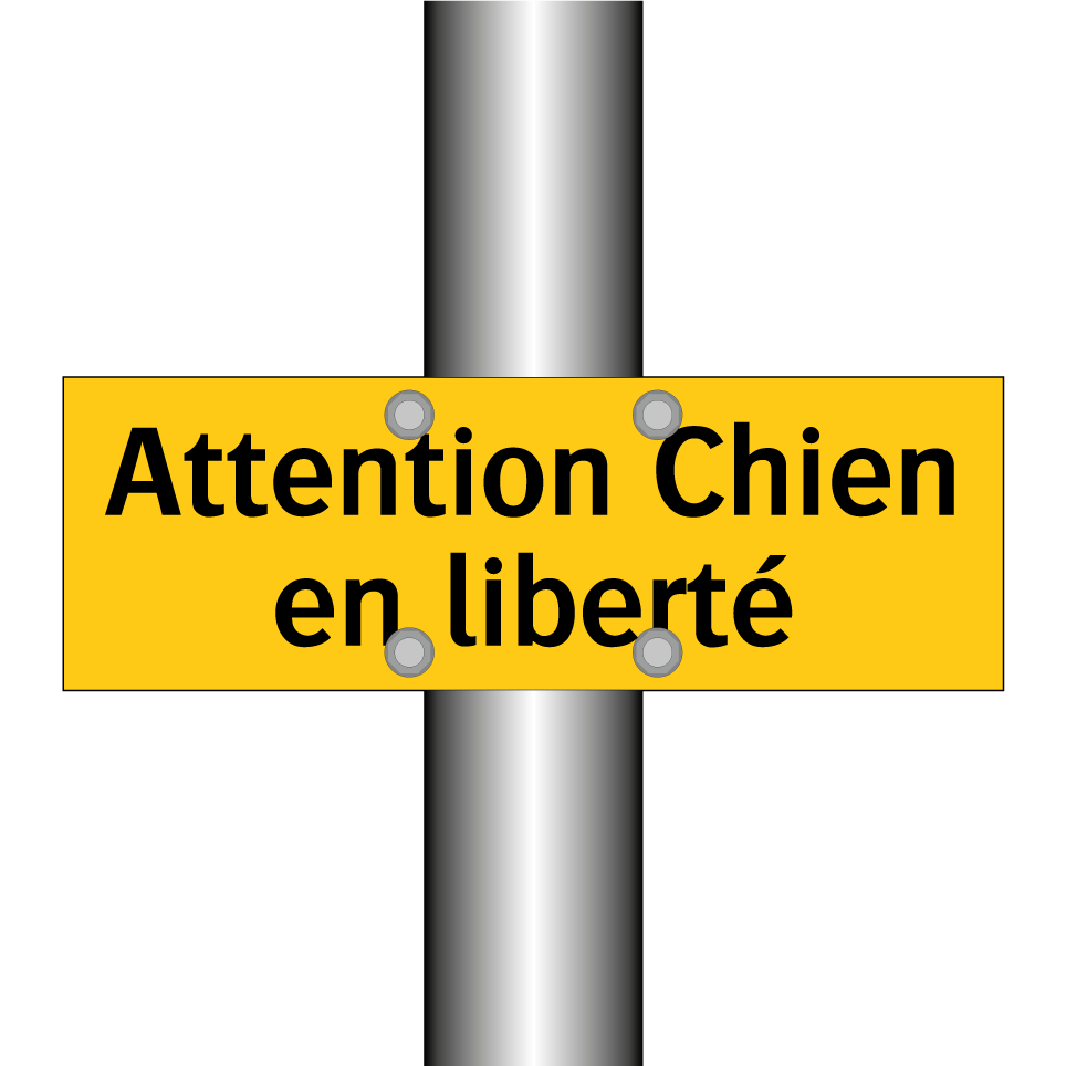 Attention Chien en liberté