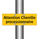 Attention Chenille processionnaire