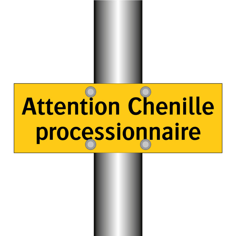 Attention Chenille processionnaire
