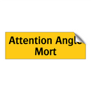Attention Angle Mort
