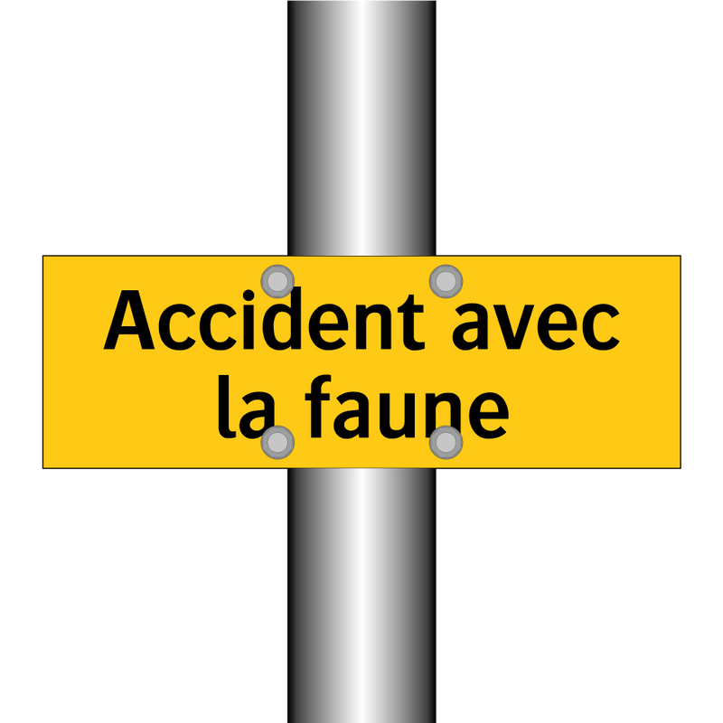 Accident avec la faune