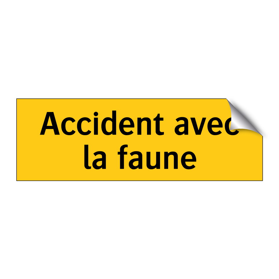 Accident avec la faune