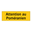 Attention au Poméranien