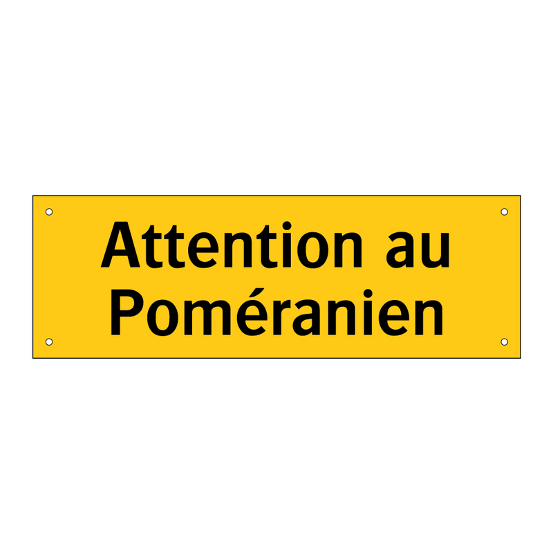 Attention au Poméranien