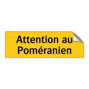Attention au Poméranien