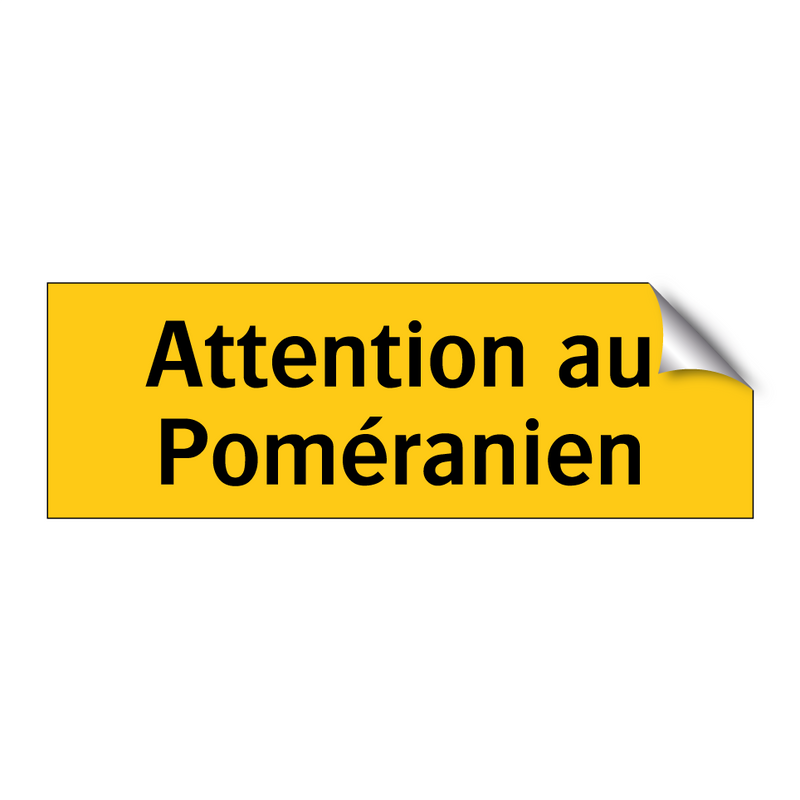 Attention au Poméranien